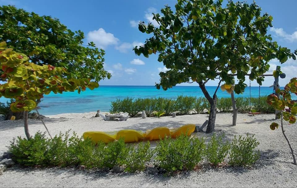 Pension Tiputa Lodge Rangiroa Exterior foto