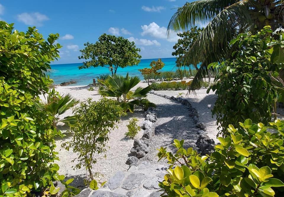 Pension Tiputa Lodge Rangiroa Exterior foto